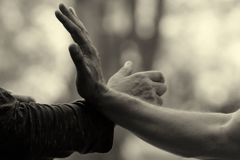 Tai Chi Silhouettes